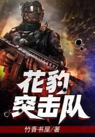 花豹突击队免费阅读最新更新