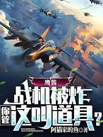 鹰酱打架