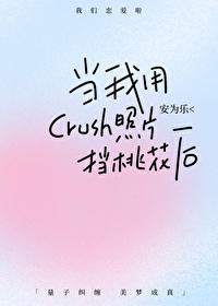 当我用crush的照片当桃花后番外