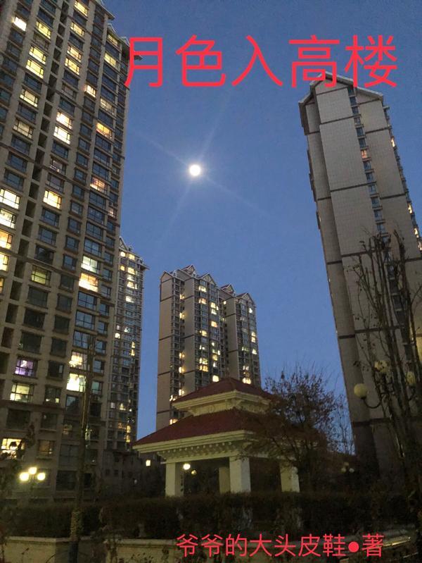 月色入高楼准确一肖