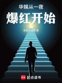 华娱之从流量到明星