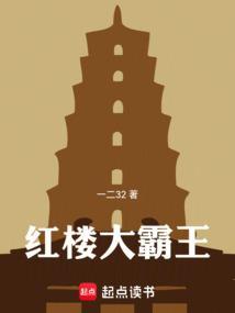 红楼大王爷