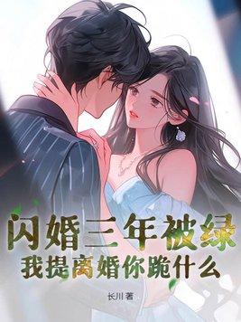 第1章 闪婚