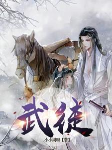 武徒武士武师大武师