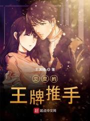 日月星辰公司